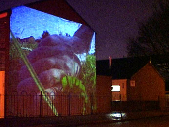 image of giant foot projected on side of council house